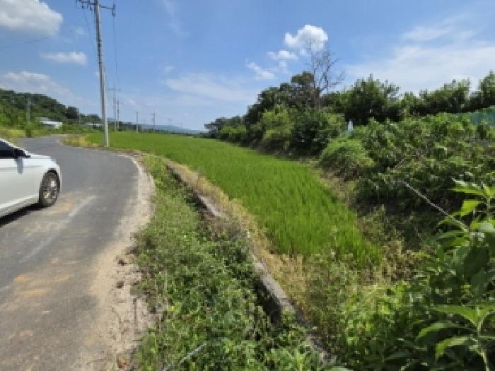 경북 안동시 풍천면 전답 경매 물건 사진