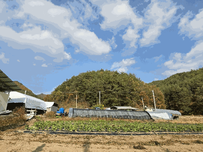 경상북도 봉화군 재산면 갈산리 산265 임야 경매 물건 사진