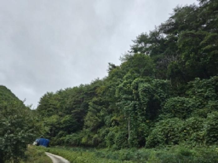 경북 봉화군 재산면 임야 경매 물건 사진