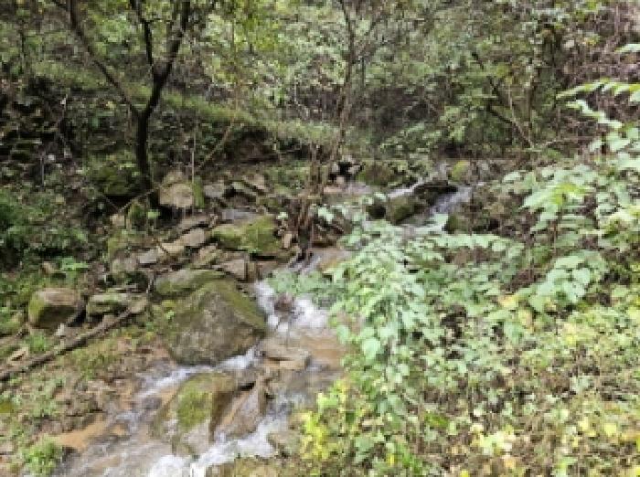 경북 봉화군 재산면 임야 경매 물건 사진 5 · 2025타경11023