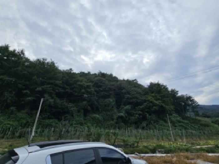 경상북도 봉화군 춘양면 서벽리 산6 임야 경매 물건 사진