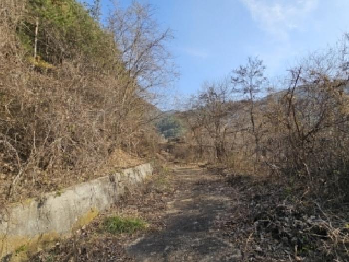 경북 봉화군 소천면 전답 경매 물건 사진