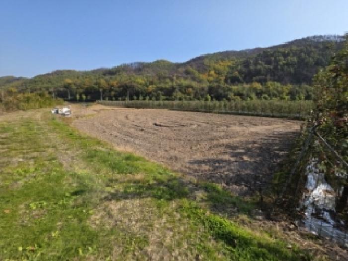 경북 안동시 길안면 대지,임야,전답 경매 물건 사진 3 · 2025타경11160