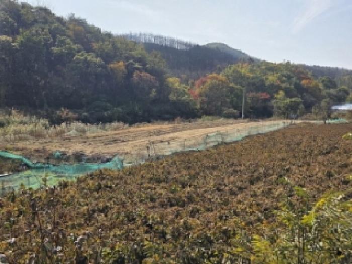 경북 안동시 길안면 대지,임야,전답 경매 물건 사진 4 · 2025타경11160