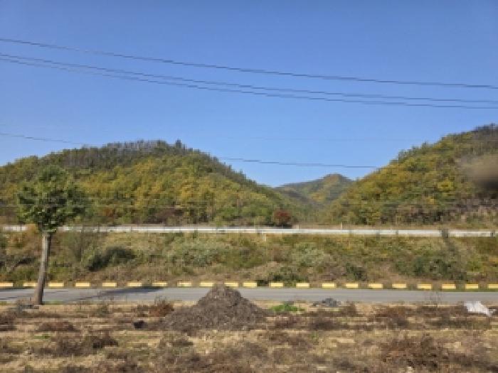 경북 안동시 길안면 대지,임야,전답 경매 물건 사진 6 · 2025타경11160