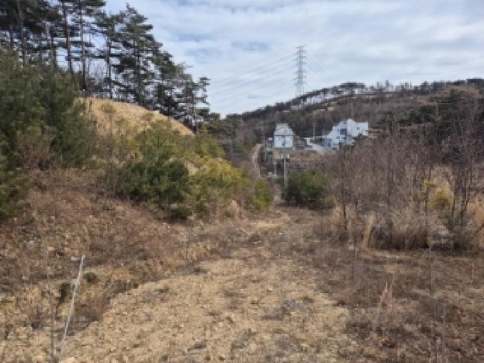 경북 경주시 양남면 대지,임야,전답 경매 물건 사진 4 · 2025타경10238