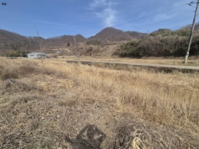 경북 경주시 양남면 답 경매 물건 사진 3 · 2025타경10379