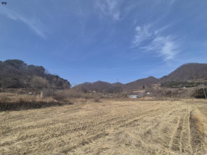 경북 경주시 양남면 답 경매 물건 사진 5 · 2025타경10379