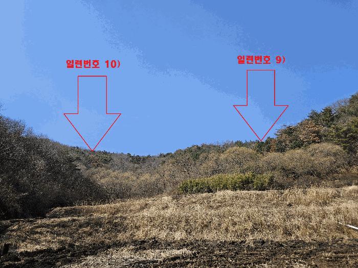 경북 경주시 양남면 답 경매 물건 사진
