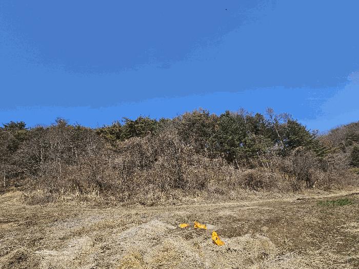 경북 경주시 양남면 답 경매 물건 사진 4 · 2025타경10379