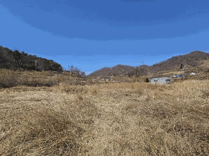 경북 경주시 양남면 답 경매 물건 사진 6 · 2025타경10379