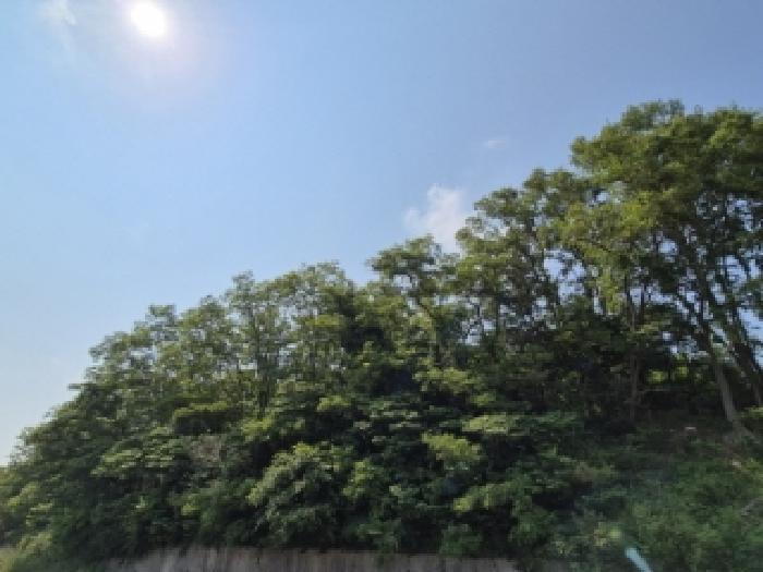 경북 경주시 감포읍 전 경매 물건 사진 2 · 2025타경10515