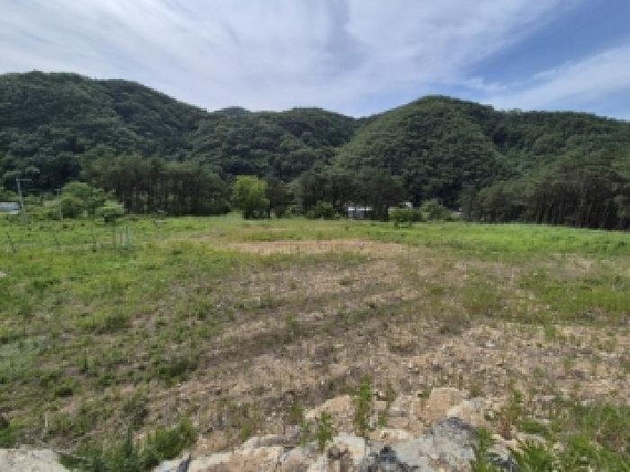 경북 경주시 내남면 근린생활시설 경매 물건 사진 3 · 2025타경10522