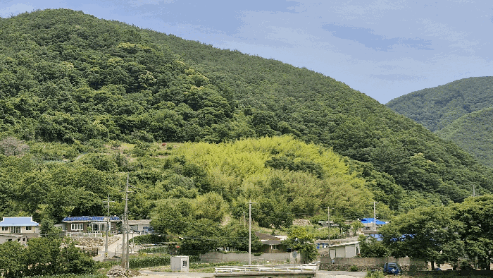 경북 경주시 산내면 전 경매 물건 사진 6 · 2025타경10523