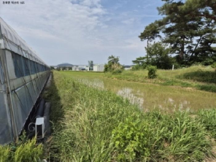 경북 경주시 천북면 답 경매 물건 사진