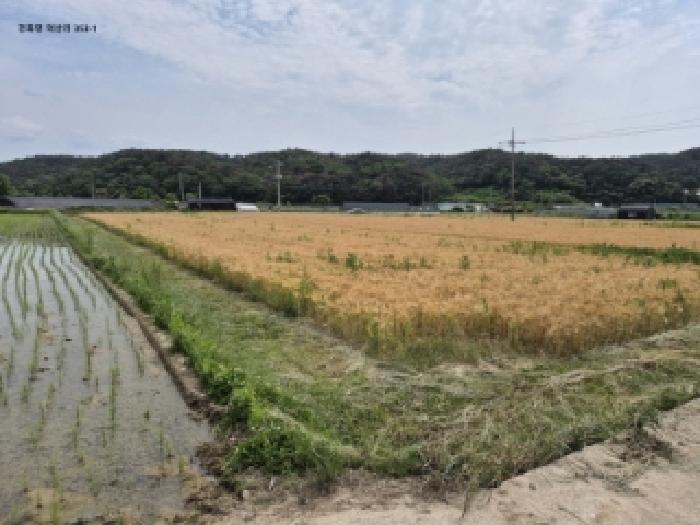 경북 경주시 천북면 답 경매 물건 사진 2 · 2025타경10536