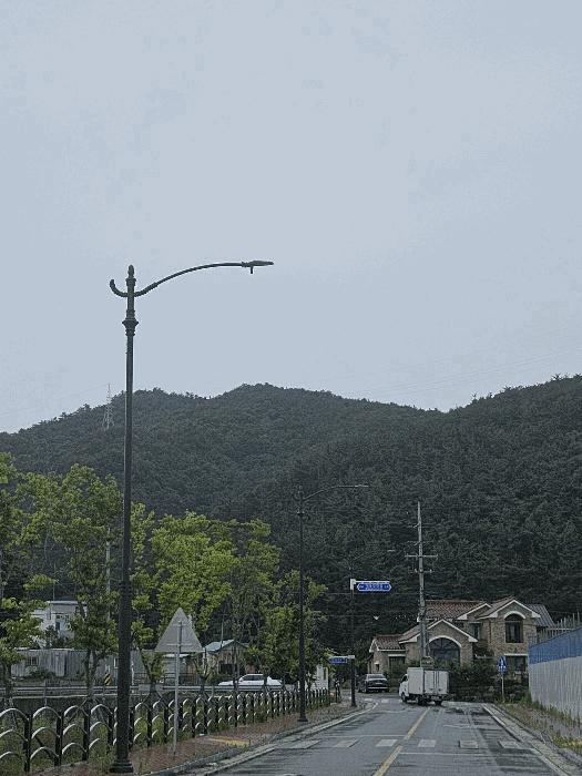 경북 경주시 동천동 임야 경매 물건 사진