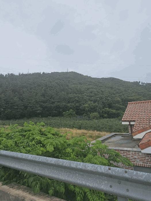 경북 경주시 동천동 임야 경매 물건 사진 4 · 2025타경10542