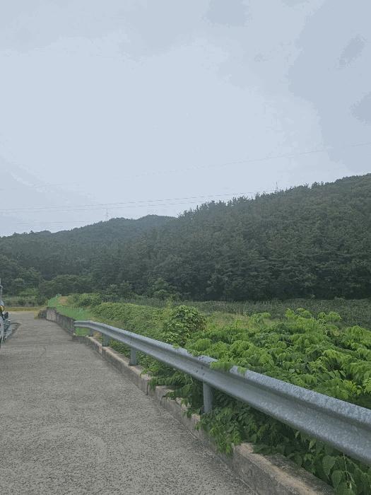 경북 경주시 동천동 임야 경매 물건 사진 6 · 2025타경10542