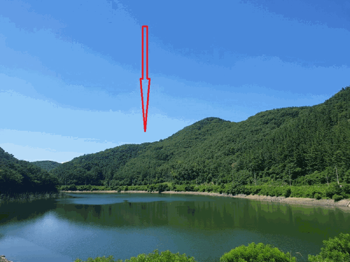 경북 경주시 건천읍 임야 경매 물건 사진 4 · 2025타경10571