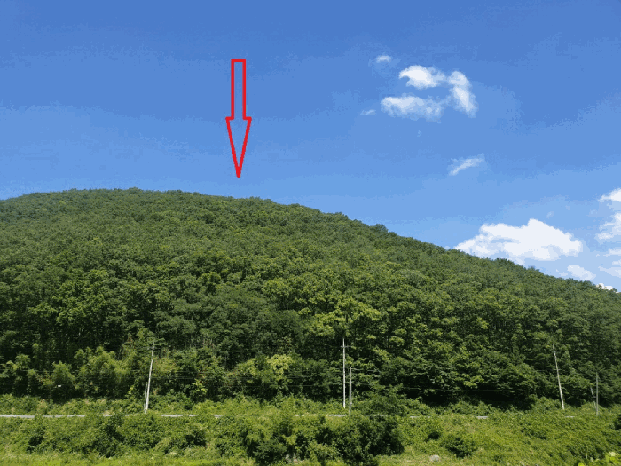 경북 경주시 건천읍 임야 경매 물건 사진 5 · 2025타경10571