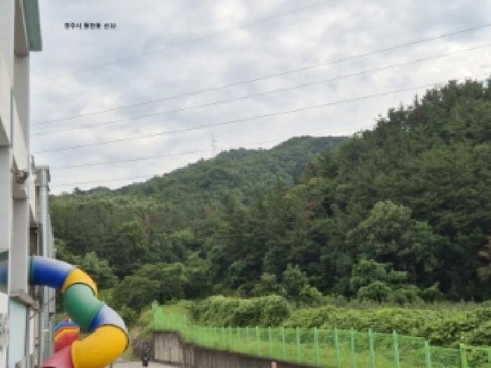 경북 경주시 동천동 임야 경매 물건 사진