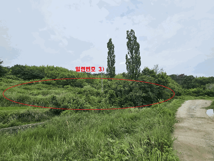 경북 경주시 천북면 답 경매 물건 사진 3 · 2025타경10602