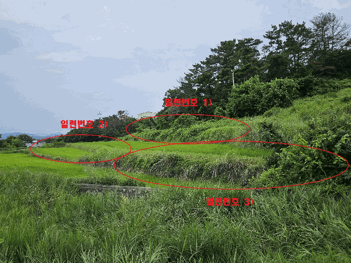 경북 경주시 천북면 답 경매 물건 사진 4 · 2025타경10602