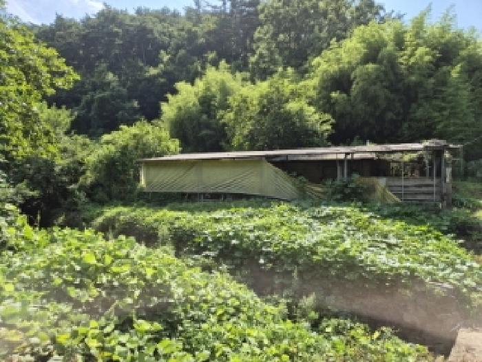 경북 경주시 산내면 동물및식물관련시설 경매 물건 사진