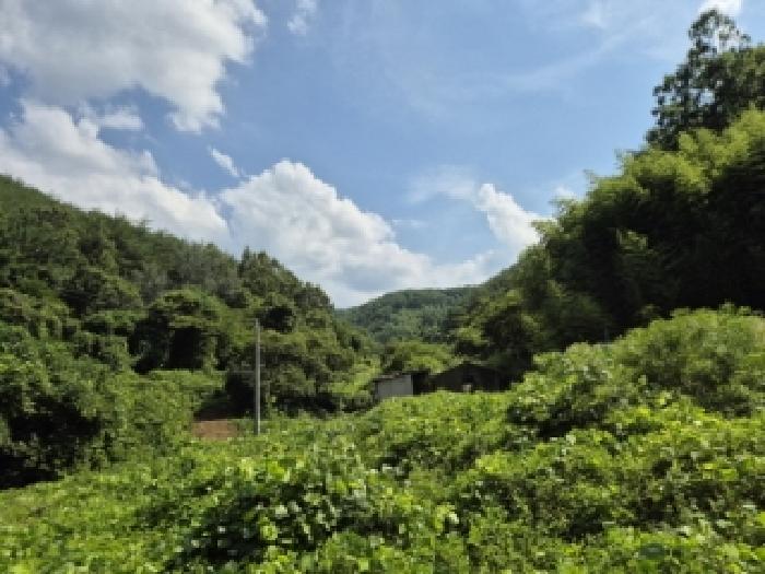 경북 경주시 산내면 동물및식물관련시설 경매 물건 사진 2 · 2025타경10609