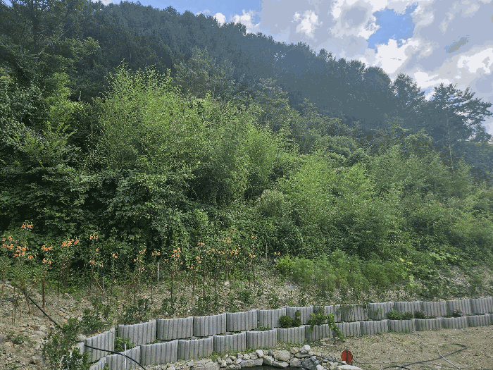 경북 경주시 산내면 답 경매 물건 사진 4 · 2025타경10613