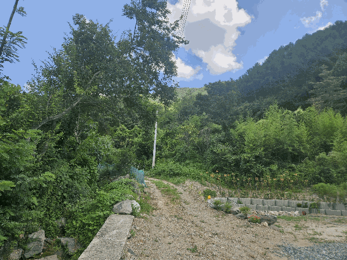 경북 경주시 산내면 답 경매 물건 사진 5 · 2025타경10613