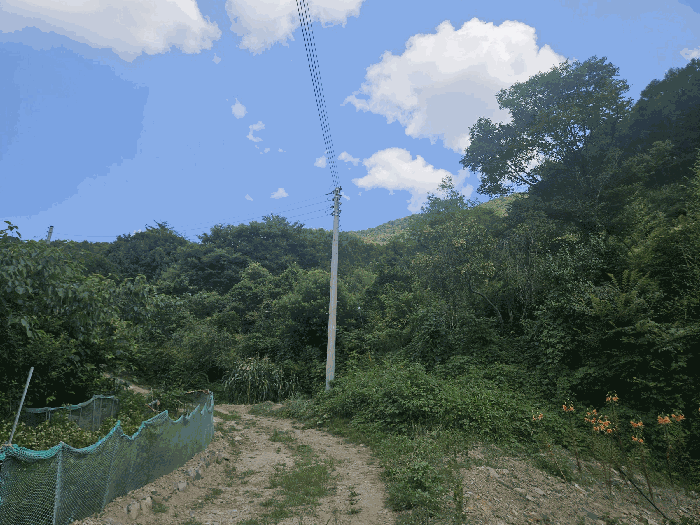 경북 경주시 산내면 답 경매 물건 사진 6 · 2025타경10613
