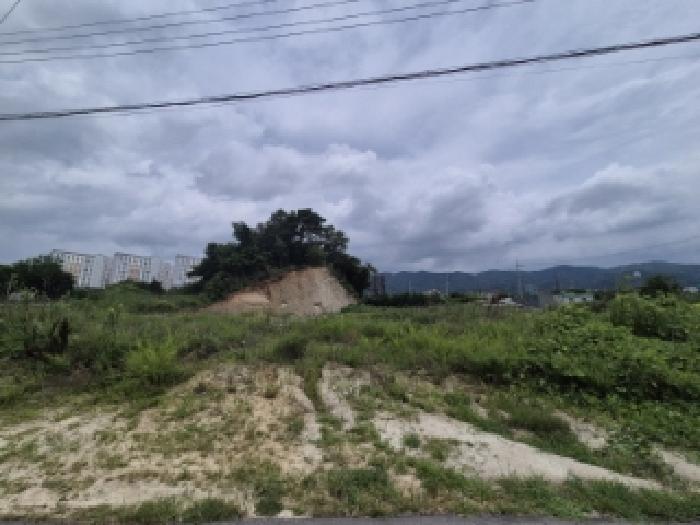 경북 경주시 진현동 임야 경매 물건 사진 2 · 2025타경10626