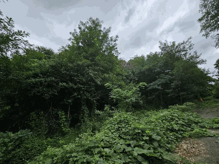 경북 경주시 외동읍 전 경매 물건 사진 5 · 2025타경10650