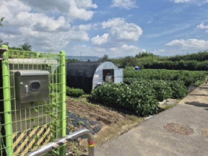 경북 경주시 서악동 대지 경매 물건 사진 5 · 2025타경10695