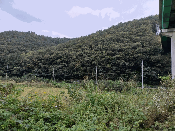 경북 경주시 광명동 임야 경매 물건 사진 4 · 2025타경10741