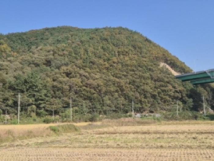 경북 경주시 광명동 임야 경매 물건 사진
