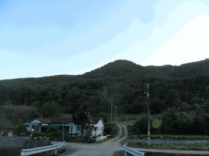 경북 경주시 내남면 임야 경매 물건 사진 3 · 2025타경10755