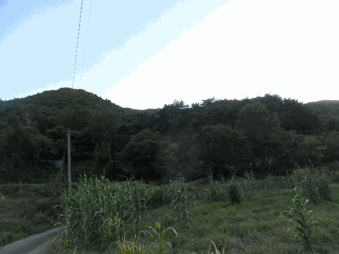 경북 경주시 내남면 임야 경매 물건 사진 4 · 2025타경10755