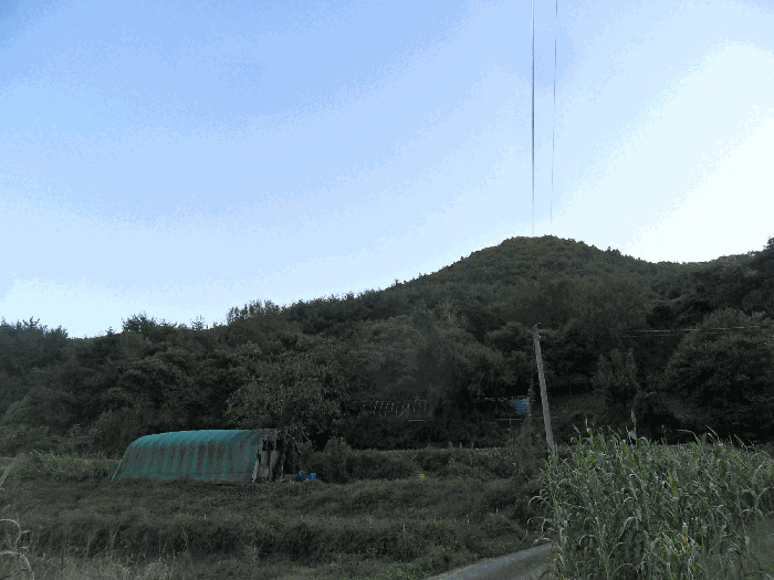 경북 경주시 내남면 임야 경매 물건 사진 5 · 2025타경10755