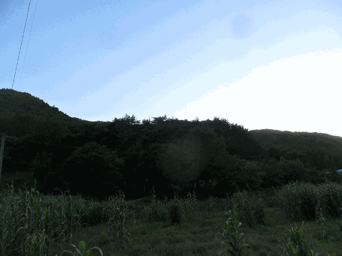 경북 경주시 내남면 임야 경매 물건 사진 6 · 2025타경10755