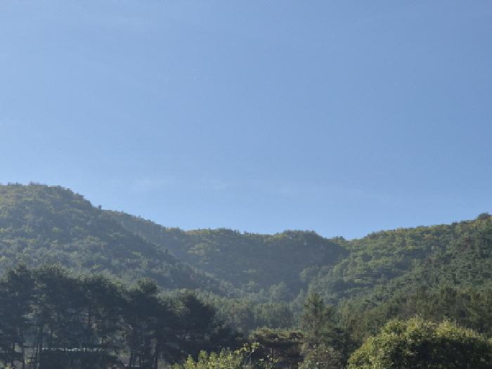 경북 경주시 내남면 임야 경매 물건 사진