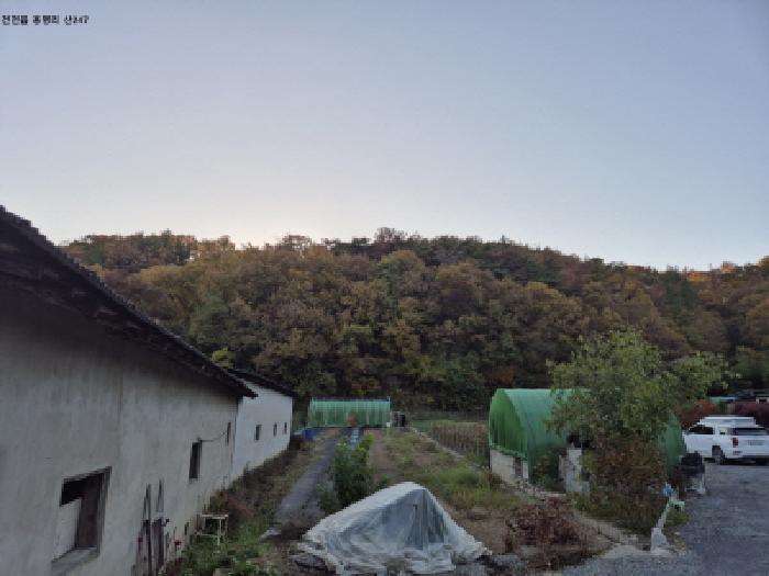 경북 경주시 건천읍 임야 경매 물건 사진 2 · 2025타경10763