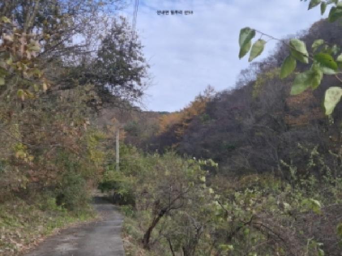경북 경주시 건천읍 임야 경매 물건 사진 4 · 2025타경10763