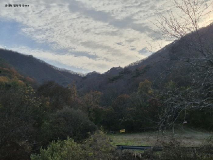 경북 경주시 건천읍 임야 경매 물건 사진 5 · 2025타경10763