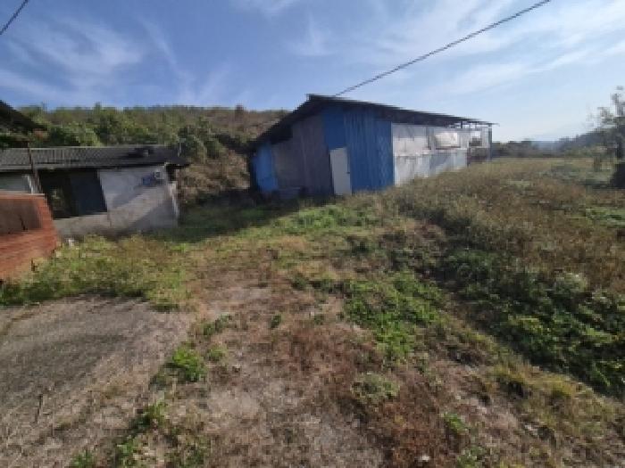 경북 경주시 북군동 임야 경매 물건 사진 4 · 2025타경10768