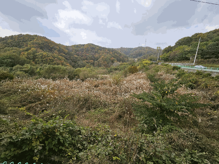 경북 경주시 양남면 답 경매 물건 사진 4 · 2025타경10771