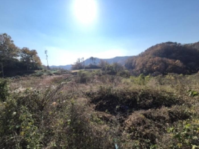 경북 경주시 양남면 답 경매 물건 사진 2 · 2025타경10771