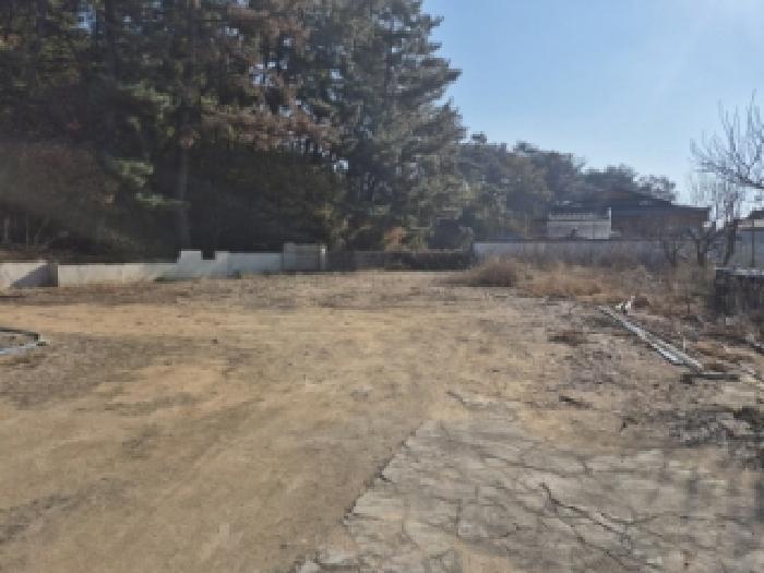 경북 경주시 조양동 전답 경매 물건 사진